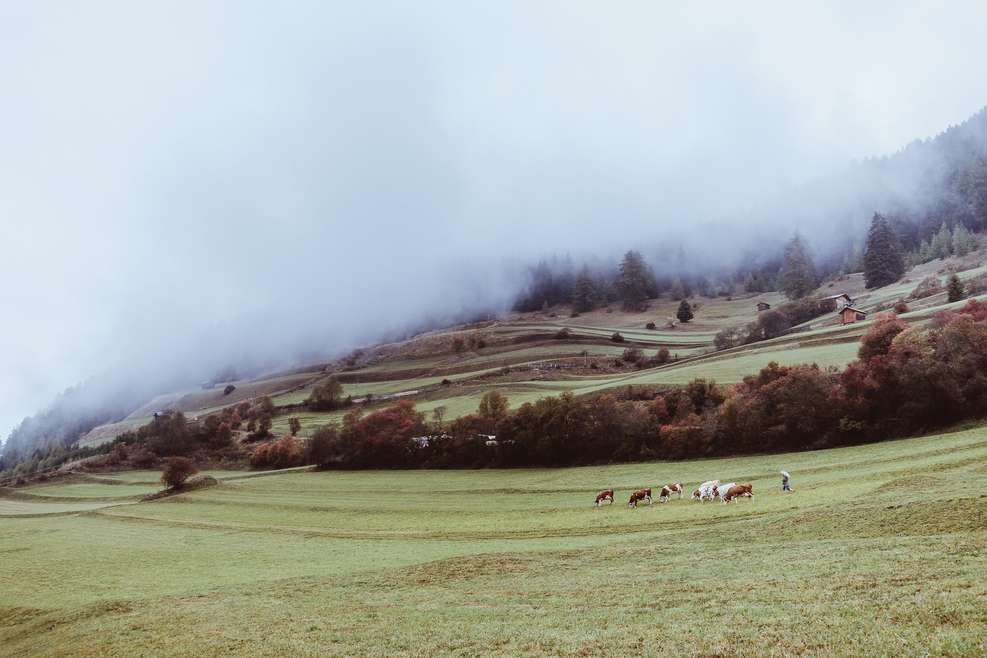 Export x3 5D4 0225 Fotoshooting 2018 Annette & Mike Nauders